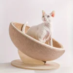 Handwoven Cat Bed with Solid Wood Base - 19.69 Inch Round Pet Nest for Indoor Cats, Stylish Natural Fiber Bedroom Furniture - Image 6