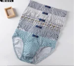 100% Cotton Briefs Mens Comfortable Underpants Man Underwear M/L/XL/2XL/3XL/4XL/5XL 5pcs/Lot Free & Drop Shipping - Image 2