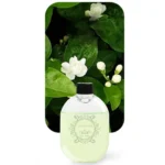 50ML Fragrance Essential Oil Aromatherapy Air Freshener Home Hotel Bedroom Toilet Air Freshener for Intelligent Aroma Diffuser - Image 2