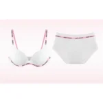 Fashion Colorful Dopamine Seamless Bra Set Sexy Push Up Small Bust Wireless Comfort Back Smoothing Daily Outfit Plus Size 32-38