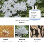 50ml Reed Diffuser Sets Rose Lavender Jasmine Essential Oil with Expanding Stick Hotel Home Aromatherapy Air Fresh Fragrance - Image 3