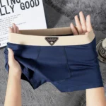 5pcs/set Men's Boxer Fashion Underwear High Stretch Panties Underpants For Homme Luxury Set Shorts Breathable Soft Men's Boxer - Image 5