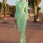 Weird Puss Autumn New Style Maxi Dress Women Turtleneck Full Sleeve Backless Skinny Stretch Prom Party Ruched Elegant Vestidos