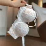 Women's Bra Briefs Set Sexy Lace Brassiere Fashion Push Up Bra Girl Soft Steel Ring Small Underwear Female Sexy Lingerie Suit
