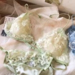 Women Sexy Triangle Cup Lingerie French Ultra Thin Lace Flowers Embroidery Bra Set Young Girl Padded Brassiere and Panties Sets - Image 5