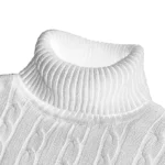 New Turtleneck Sweater Casual Men's Rollneck Knitted Sweater Keep Warm Men Jumper Woolen Sweater - Image 5